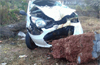 Kasargod : 4 injured as car hits street light  pole